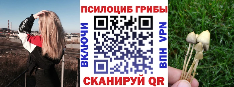 как найти закладки  Кущёвская  Галлюциногенные грибы Magic Shrooms 